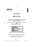 Toshiba DV501/19 User's Manual