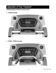 Spirit XT80013 User's Manual