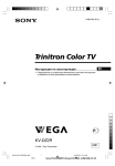 Sony KV-DZ29 User's Manual