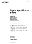 Sony DSBK-1501 User's Manual