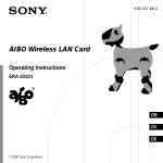 Sony ERA-201D1 User's Manual