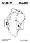 Sony AKA-DM1 Notes