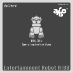 Sony AIBO ERS-31L User's Manual