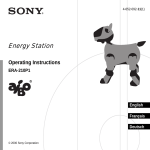 Sony AIBO ERA-210P1 User's Manual