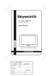 Skyworks LCD-19L03 User's Manual
