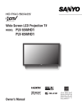 Sanyo PLV-55WHD1 User's Manual