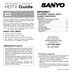 Sanyo DP42851 User's Manual
