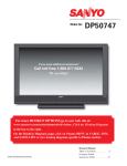 Sanyo DP50747 User's Manual