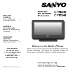 Sanyo DP32648 User's Manual