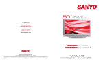 Sanyo DP50719 User's Manual