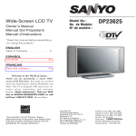 Sanyo DP23625 User's Manual