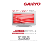 Sanyo DP19649 User's Manual