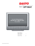 Sanyo DP19647 User's Manual