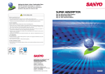 Sanyo DE User's Manual