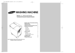 Samsung WT80S2(P) User's Manual