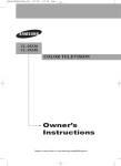 Samsung CL-29Z40 User's Manual