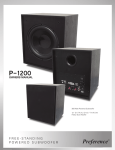 Preference Audio P-1200 User's Manual