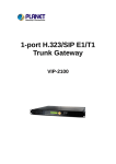 Planet Technology VIP-2100 User's Manual