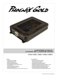 Phoenix Gold SD300.1 User's Manual
