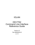 Perle Systems DS1 User's Manual