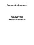 Panasonic AG-DVX100B Menu Information