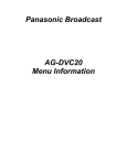Panasonic AG-DVC20 Menu Information