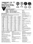 Omega Engineering DPG1001B User's Manual