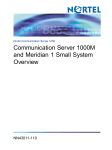 Nortel Networks NN43011-110 User's Manual