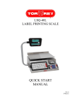 Network Computing Devices LSQ-40L User's Manual