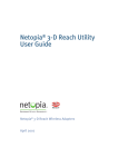 Netopia 6161210-00-01 User's Manual