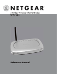 Netgear 802.11g User's Manual