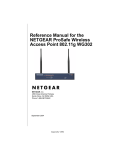 Netgear 802.11G User's Manual