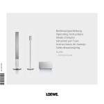 Loewe Individual Sound Speaker System User's Manual