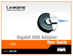 Linksys USB1000 User's Manual