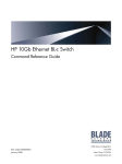 HP BMD00022 User's Manual