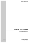 Grundig Color Television ST 55-839 User's Manual