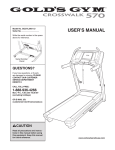 Gold's Gym GGCTL59611.0 User's Manual