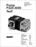 Giant P220-3000 User's Manual