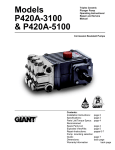 Giant P420A-3100 User's Manual