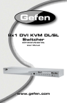 Gefen EXT-DVIKVM-841DL User's Manual
