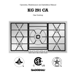 Gaggenau KG 291 CA User's Manual