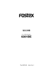 Fostex 6301BE User's Manual