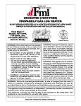 FMI FVF30PW User's Manual