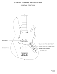 Fender 136508 User's Manual