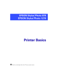 Epson Stylus Photo 870 Ink Jet Printer Basic manual