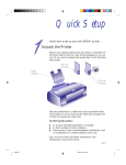 Epson Stylus Color 800 Ink Jet Printer User Setup Information