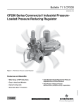 Emerson CP200 Data Sheet