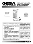 Desa REM10PT RH10PT User's Manual