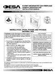 Desa P324 User's Manual