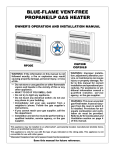 Desa CGP20B User's Manual